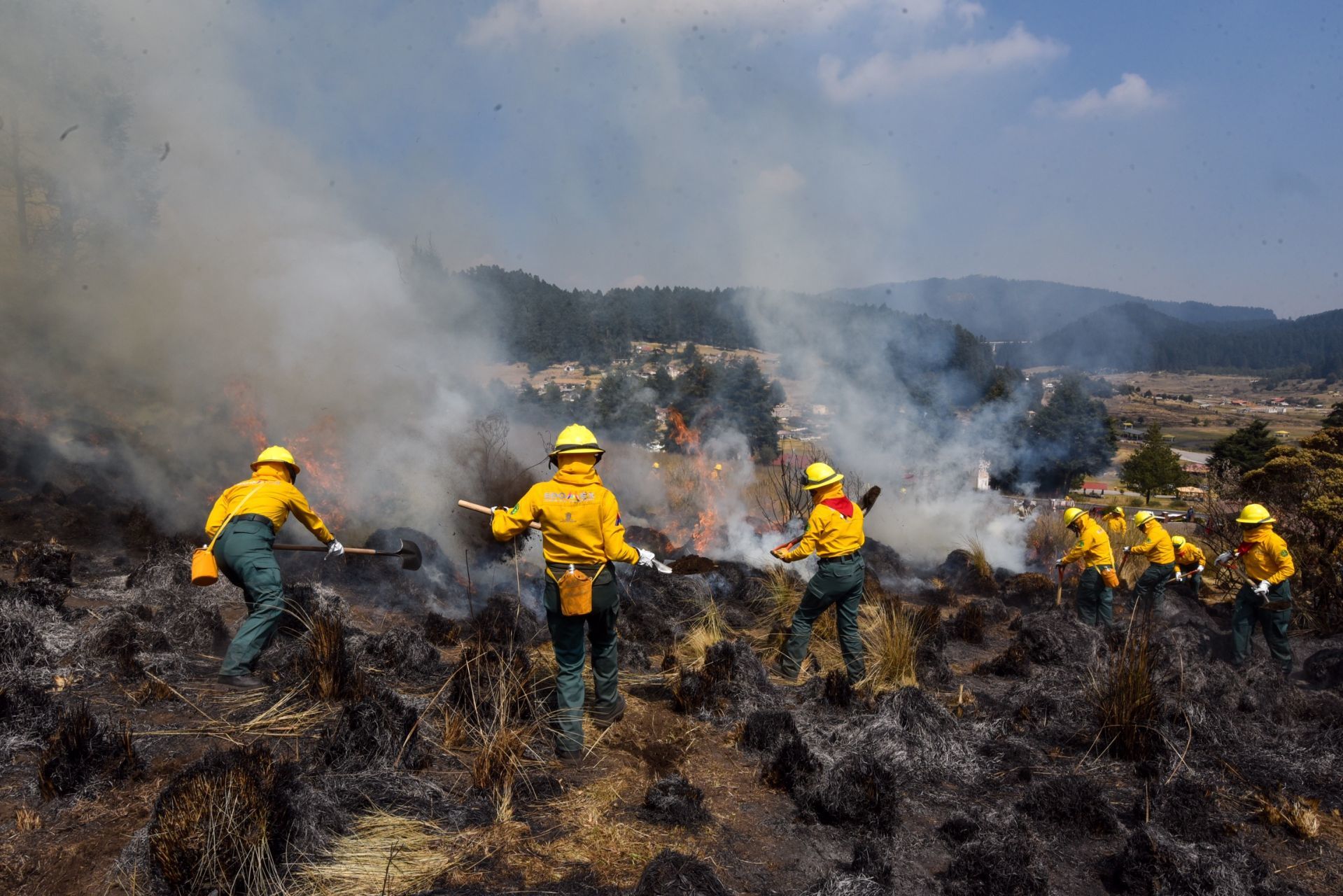 Conafor informó que en el municipio de Tulum inició la temporada de incendios forestales en este 2025 en Quintana Roo