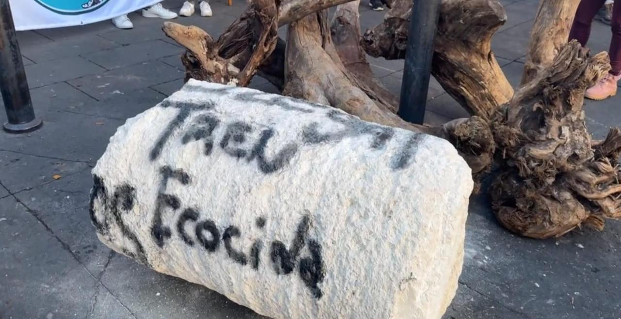 Ambientalistas de Quintana Roo llevan troncos de árboles y piedras destrozadas por obras del Tren Maya
