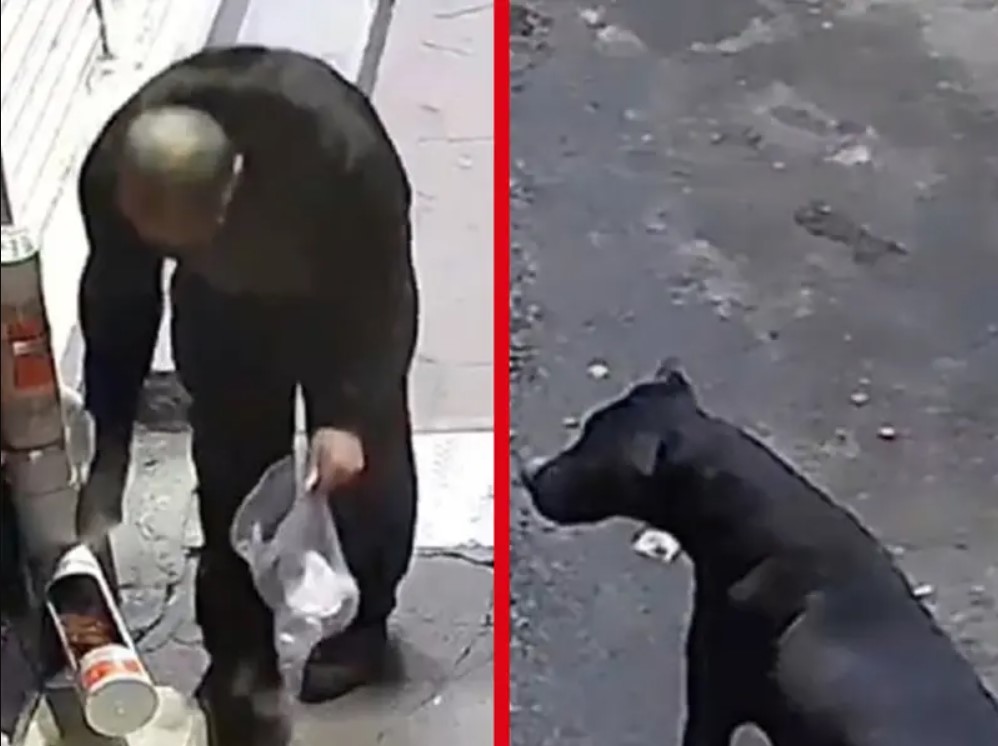 Le roba croquetas a perro callejero en Texcoco y queda grabado