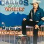 Acribillan a Juan Carlos Reyes, cantante de “Los Infieles” en carretera Chetumal-Xpujil