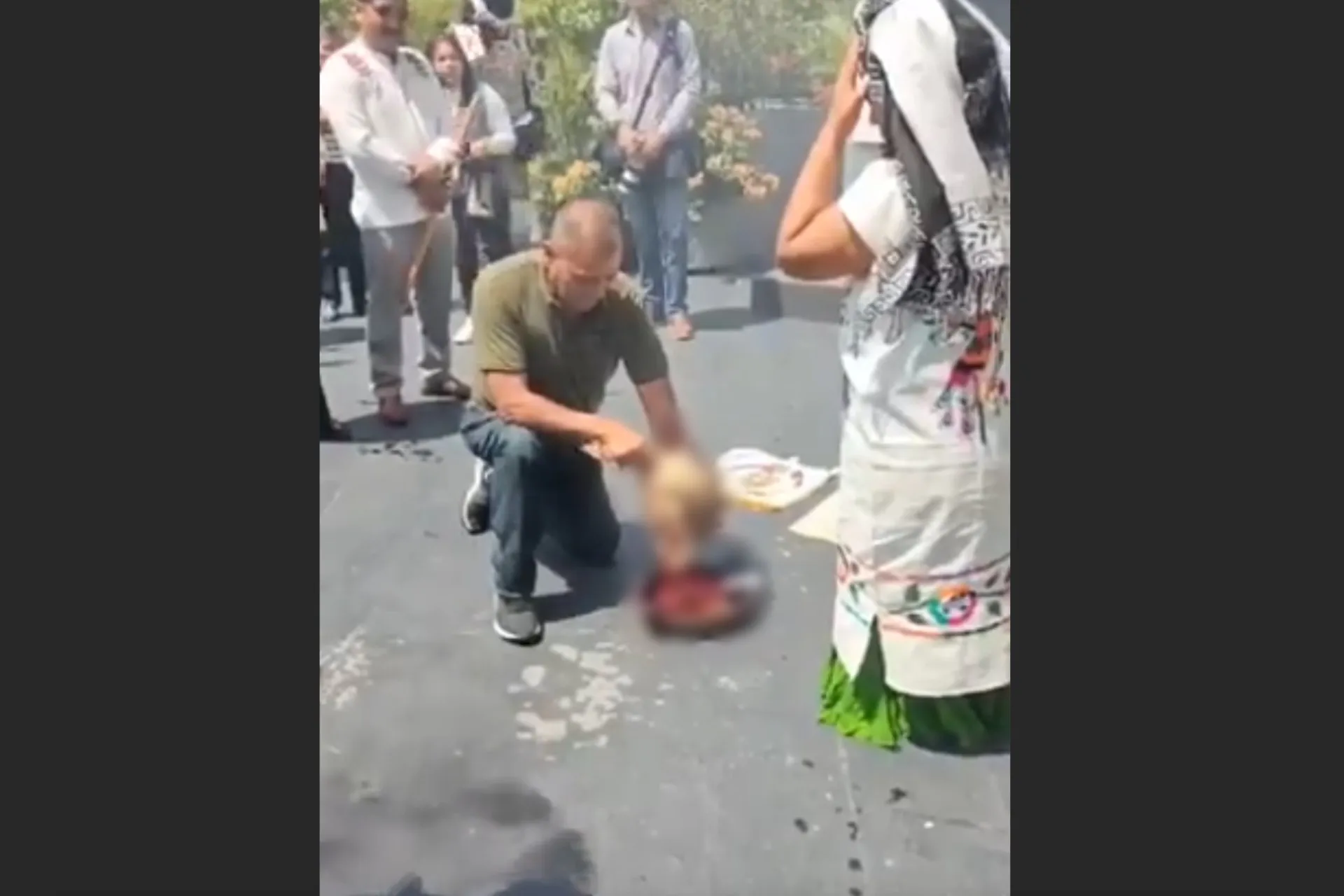 Sacrifican gallina durante evento organizado por senador de Morena en el Senado