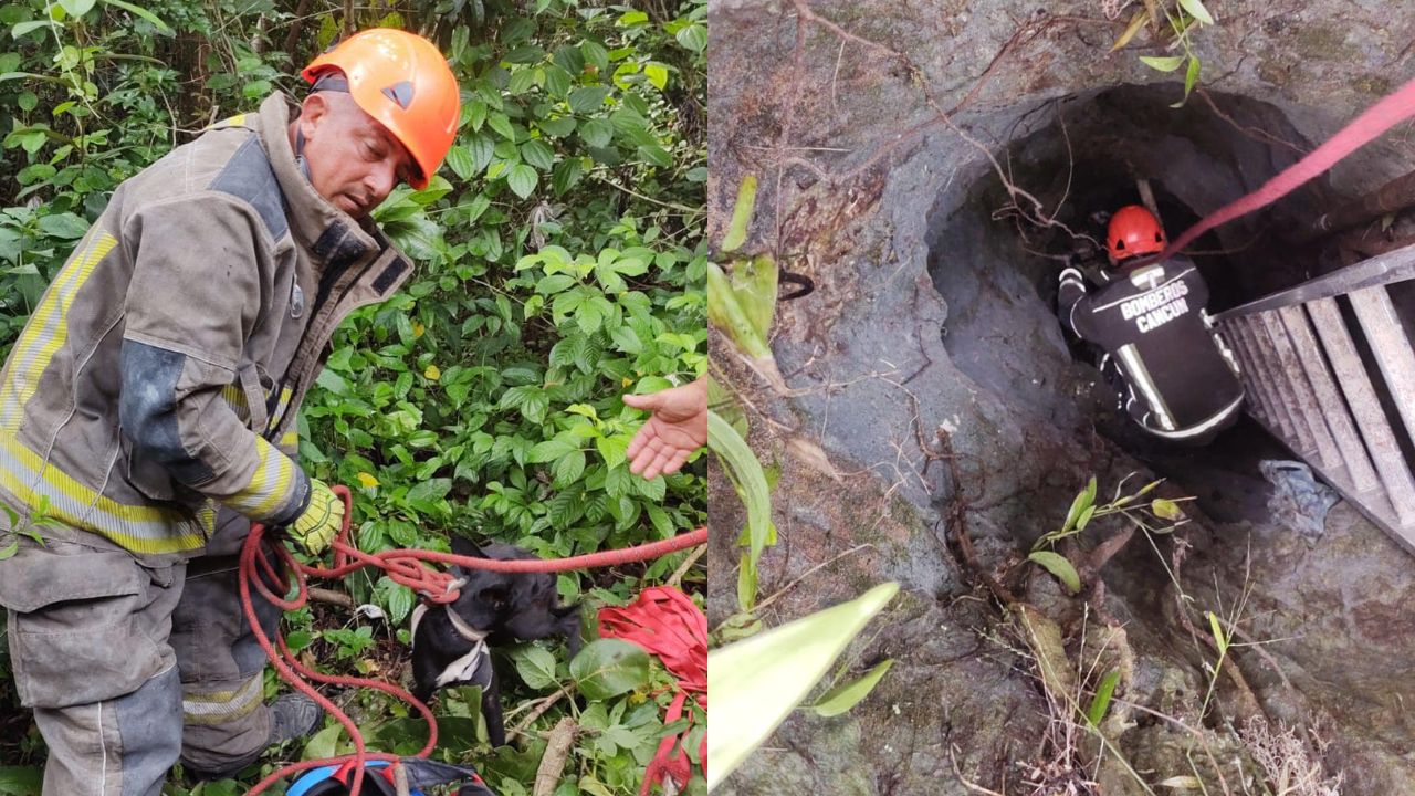Bomberos de Cancún rescatan a perrito que había caído en un pozo de 8 metros de profundidad.