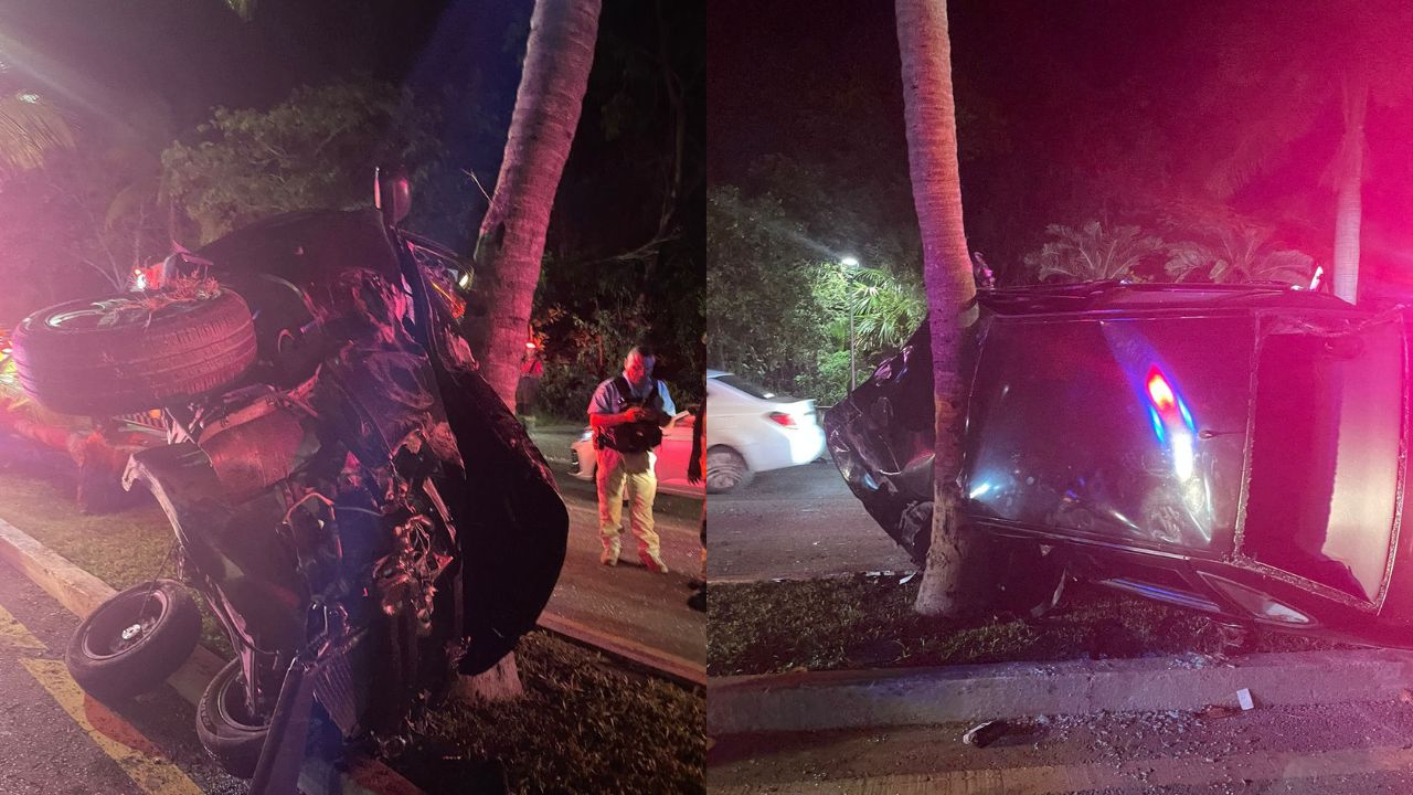 Conductor choca contra palmera en la zona hotelera de Cancún