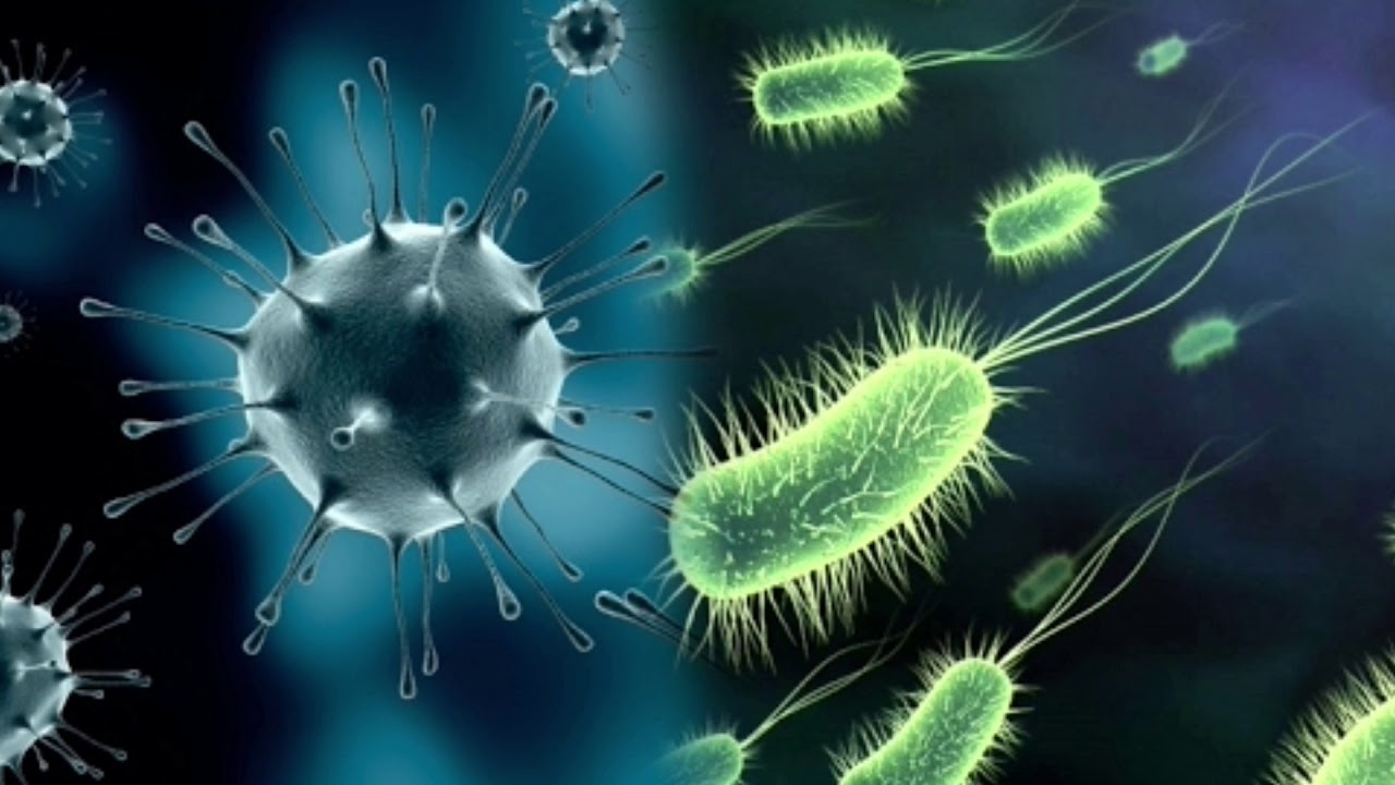 Resistencia a los antibióticos incrementará entre 2025 y 2050