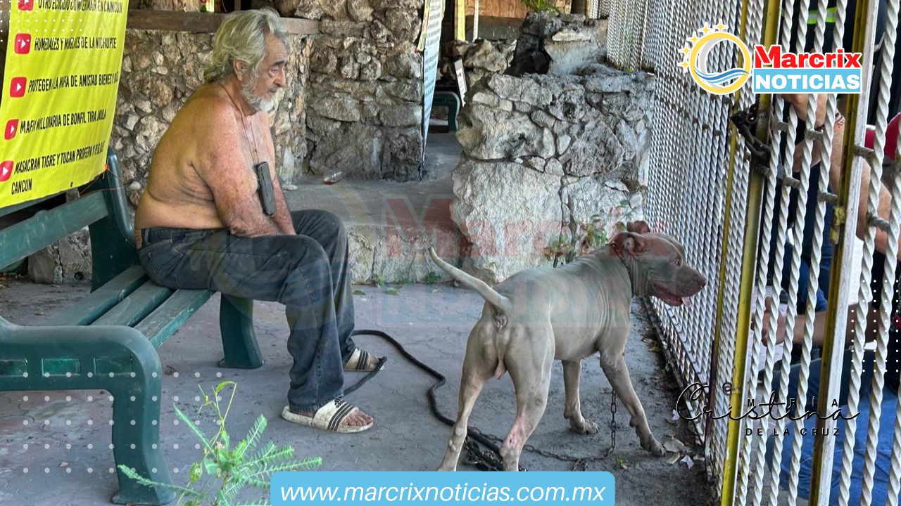 Denuncian maltrato a un perrito que se encuentra en el local de “Pepe Tigre".