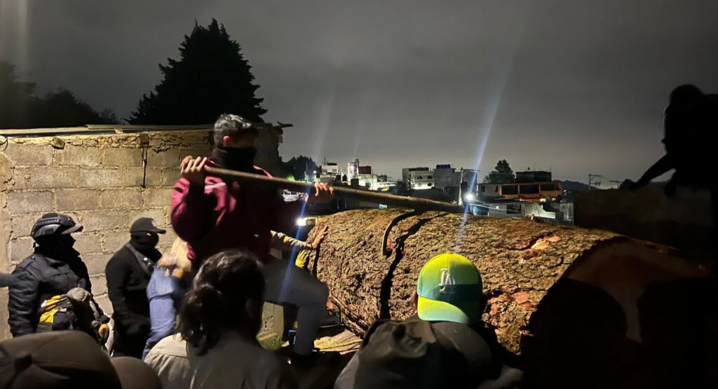 Clausuran aserradero clandestino en la Ciudad de México