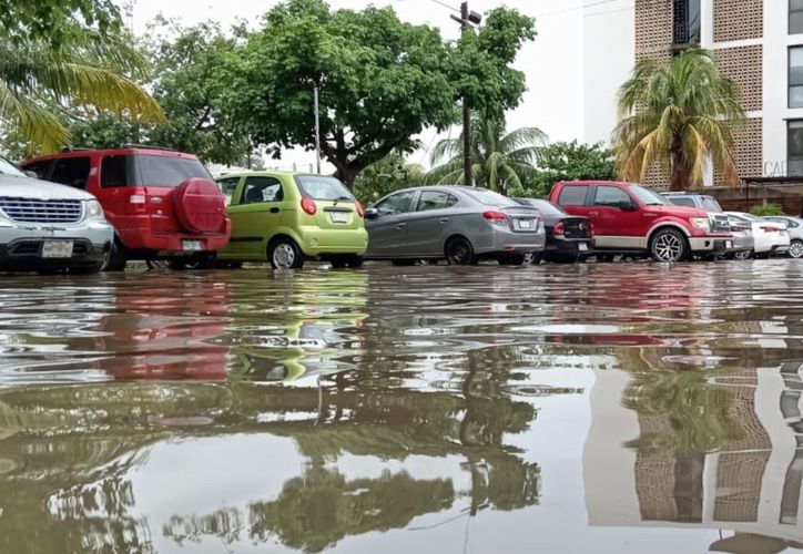 Afirman que limpieza en la Lombardo no afecta ecosistema de la Laguna Manatí, en Cancún