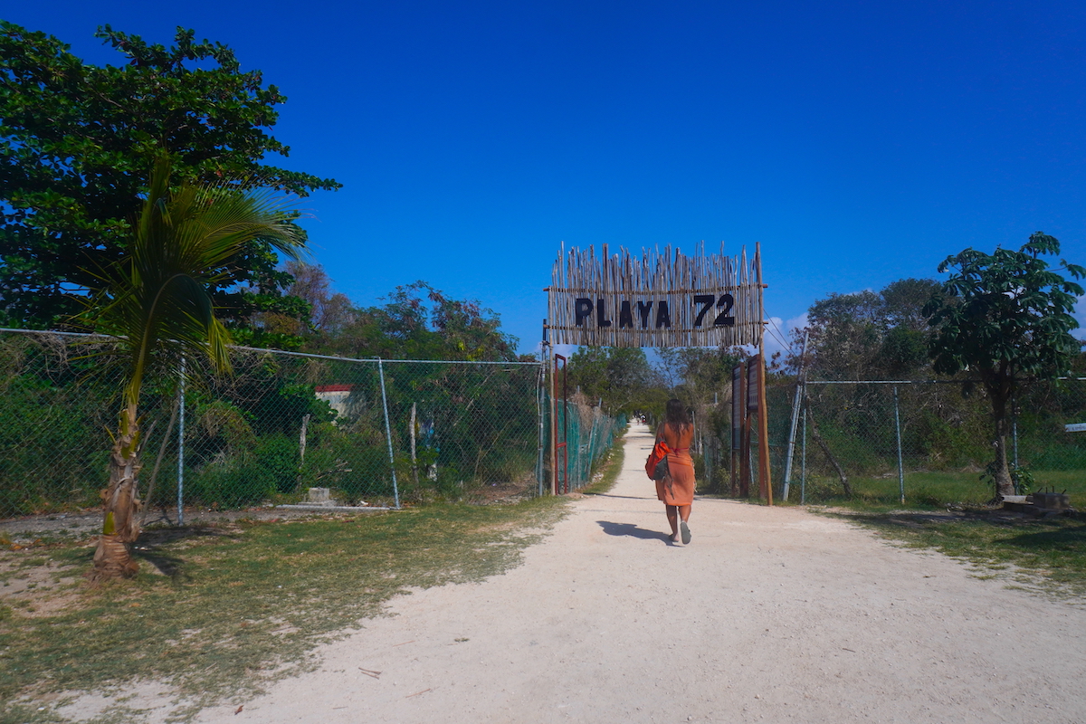 Aclaran rumores sobre cierre de playa pet friendly en Playa del Carmen