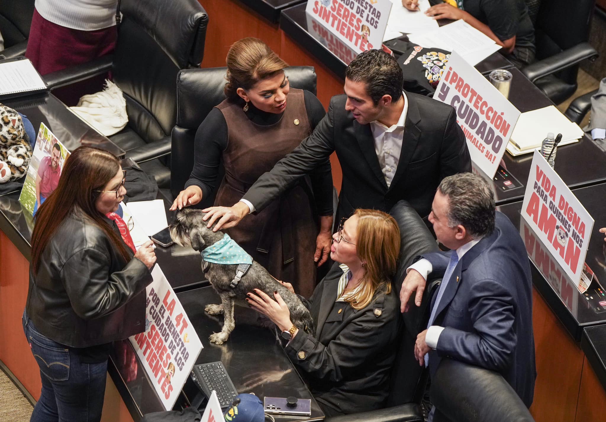 Gino vota en el Senado ley para que todos los animales estén más protegidos
