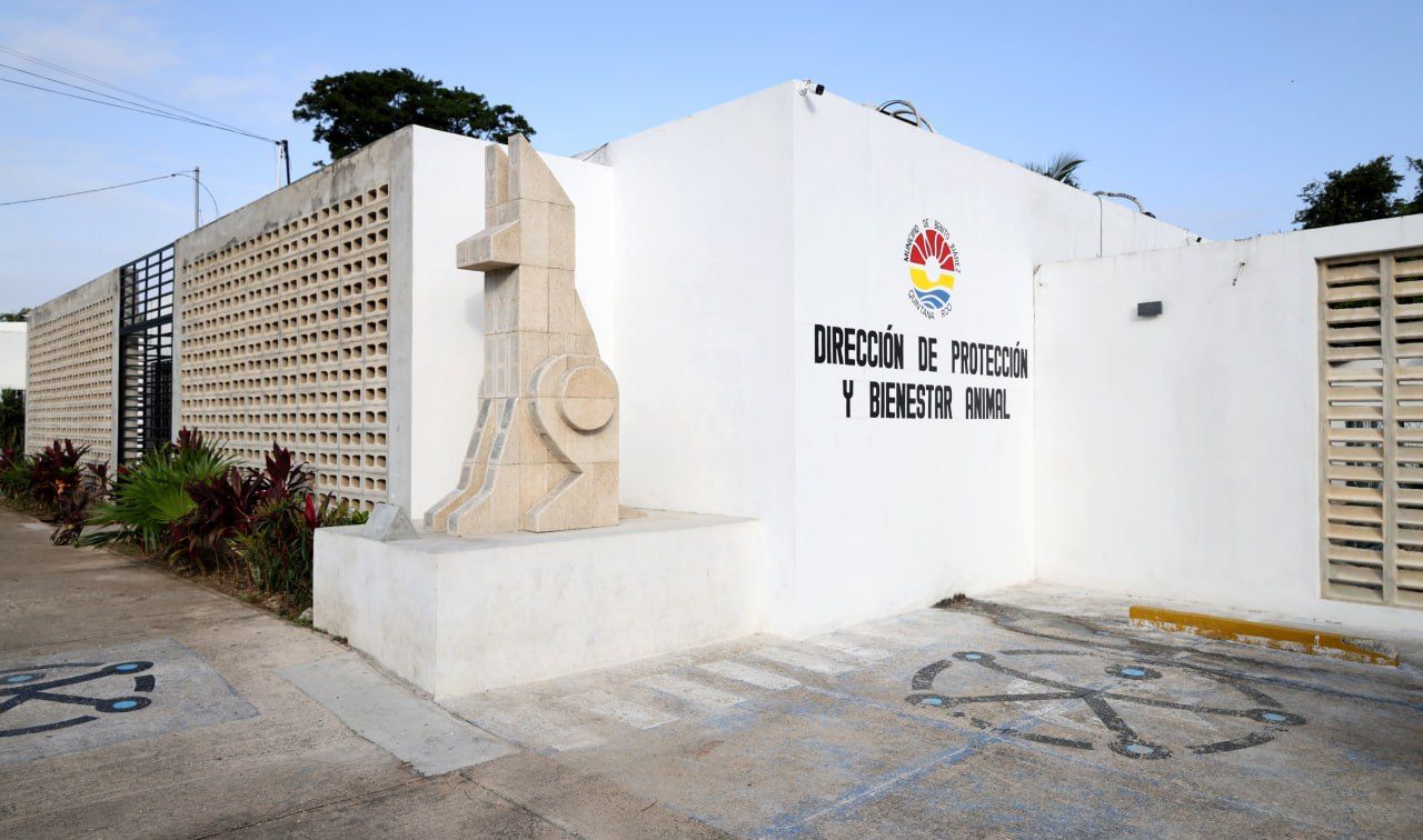Habilitarán y mejorarán en 2025 el Centro de Bienestar Animal en Cancún