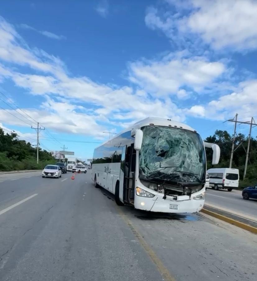 Se estampa en Playa del Carmen un autobús Del Valle contra un camión de revolvedora