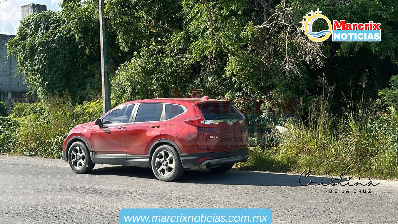 Encuentran en Cancún a un hombre sin vida colgado de un árbol