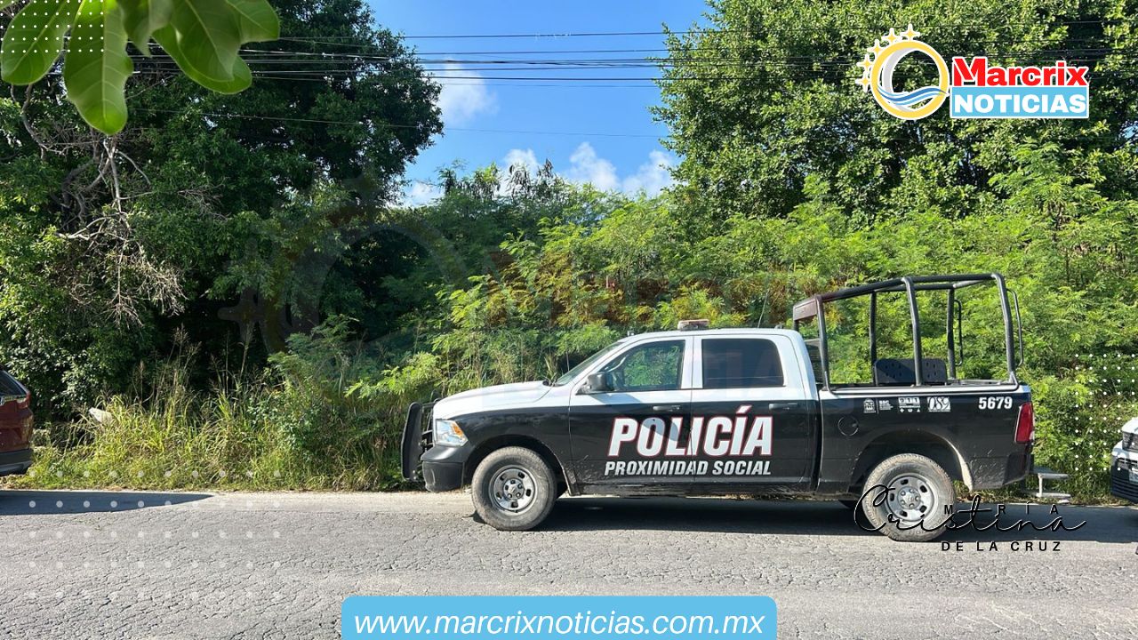 Encuentran en Cancún a un hombre sin vida colgado de un árbol