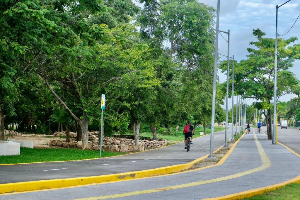 Siembran 106 árboles en el Parque de la Equidad de Cancún