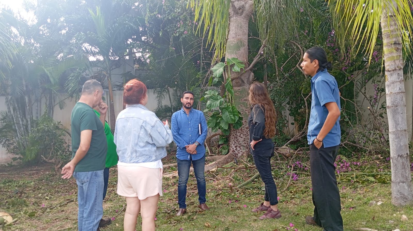 Reubicarán ceiba en Playa del Carmen que iban a talar