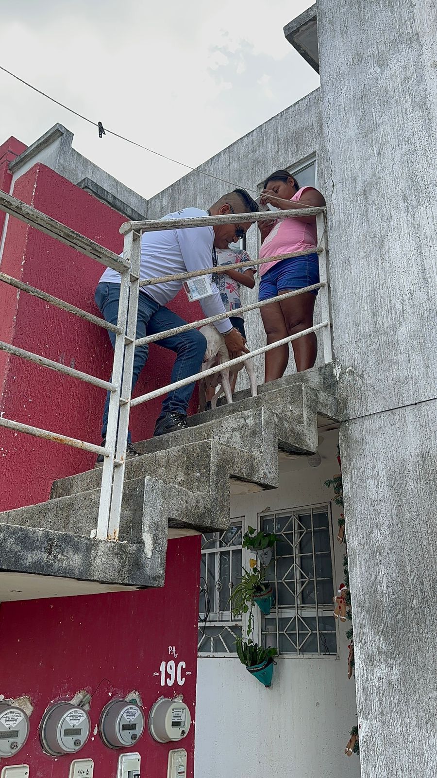 Rescatan a perro que era maltratado en Cancún