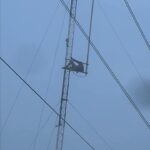 Desde hace más de 18 horas un joven se mantiene en la parte superior de una antena de la Superintendencia de la Comisión Federal de Electricidad (CFE) en Chetumal y amenaza con aventarse al vacío.