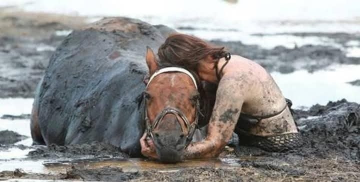 Como en una película trágica, la mujer logró escabullirse de la arena tipo barro, rescatar a su hija y al pequeño caballo de su hija, pero no pudo hacer nada por su caballo Astro en Australia.