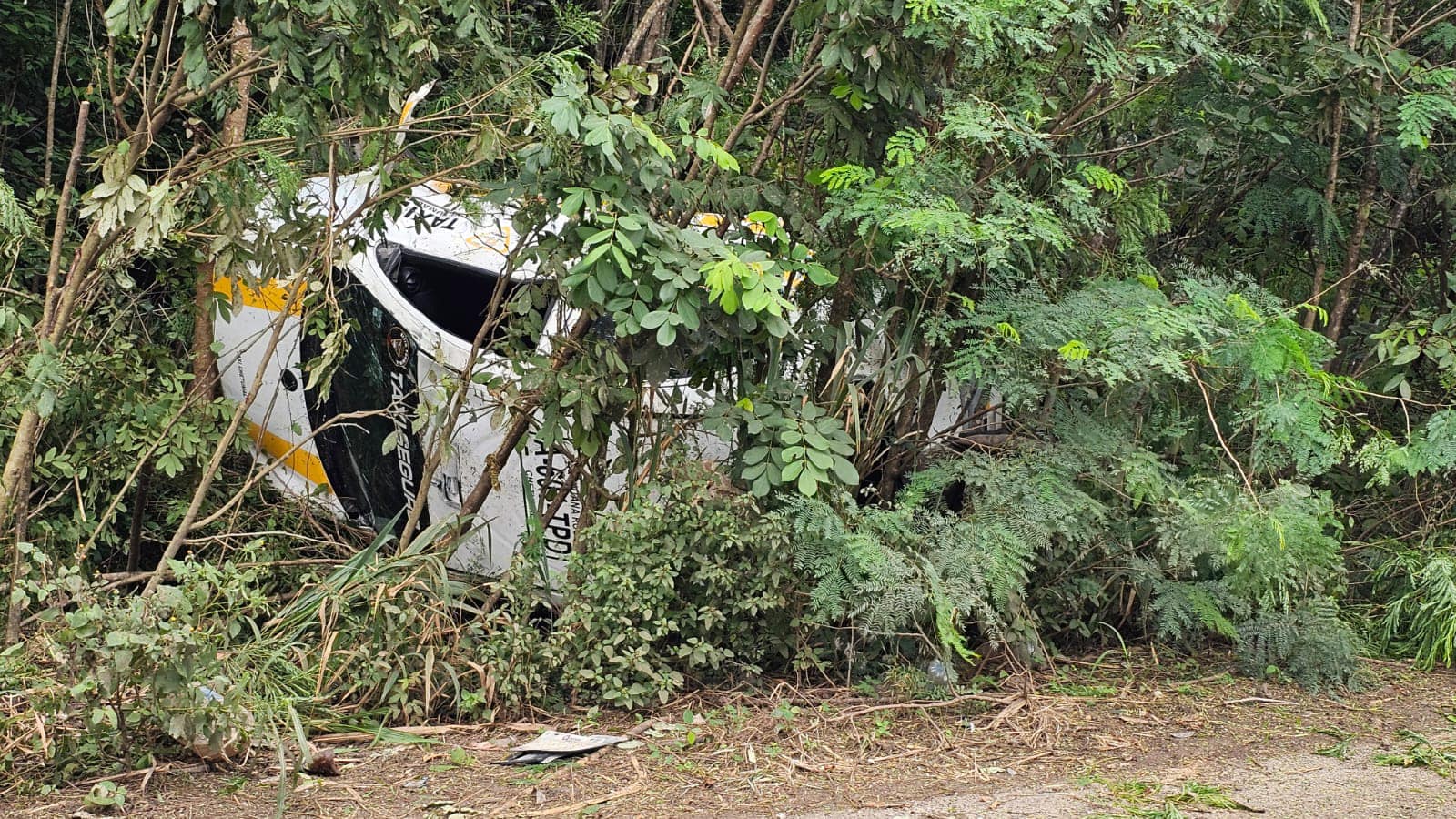 El taxi de Chetumal terminó entre la maleza volteado sobre su costado izquierdo cuando transitaba hacia El Palmar