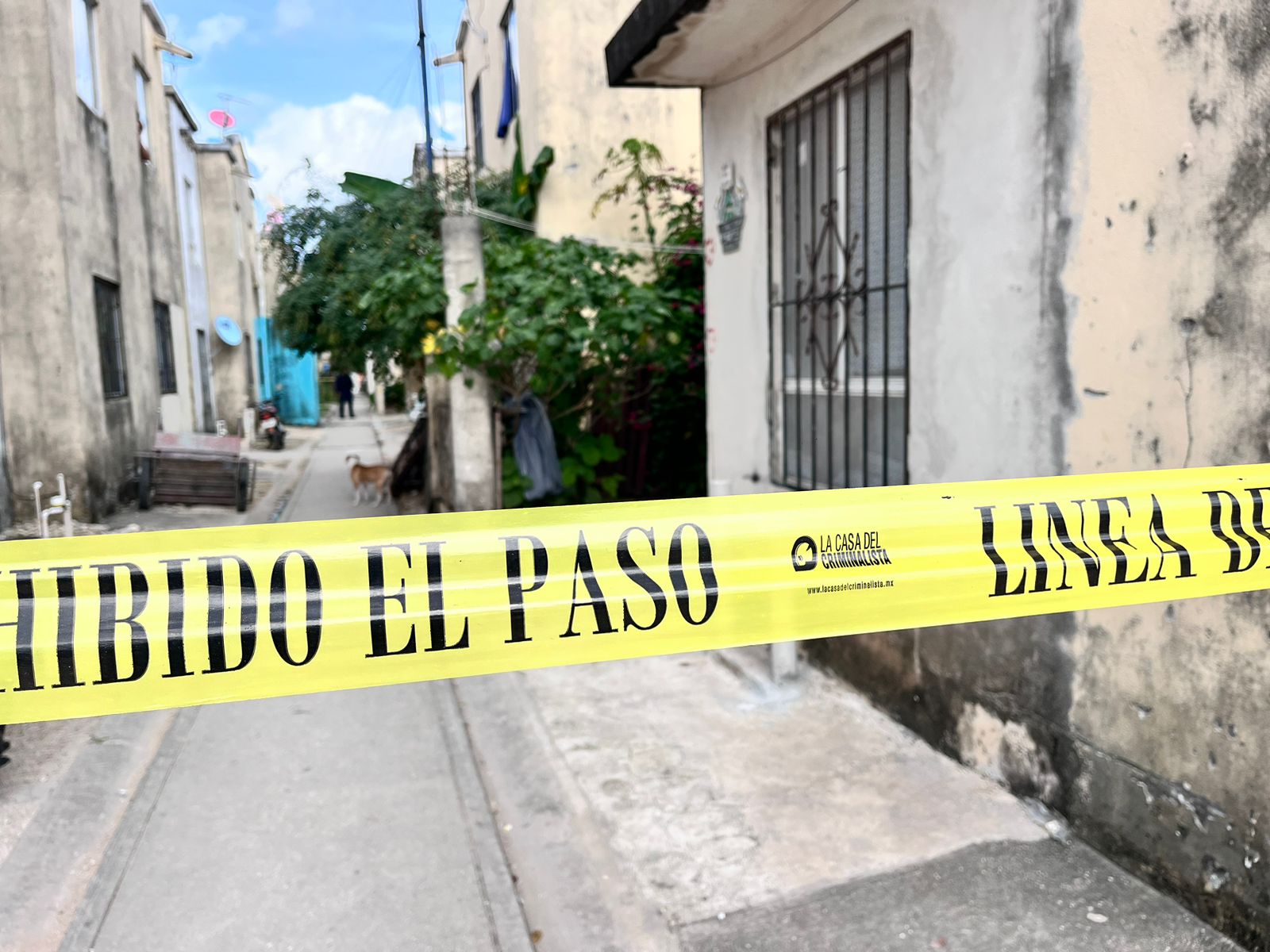 Primer ejecutado en Cancún de este 2025
