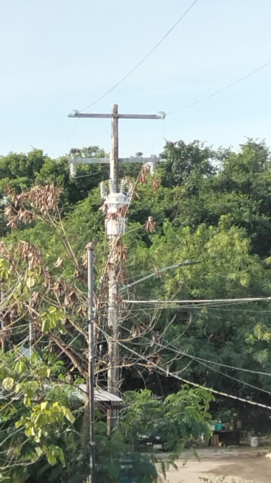 11 comunidades rurales del municipio de Felipe Carrillo Puerto han presentado fallas constantes en el servicio de energía eléctrica
