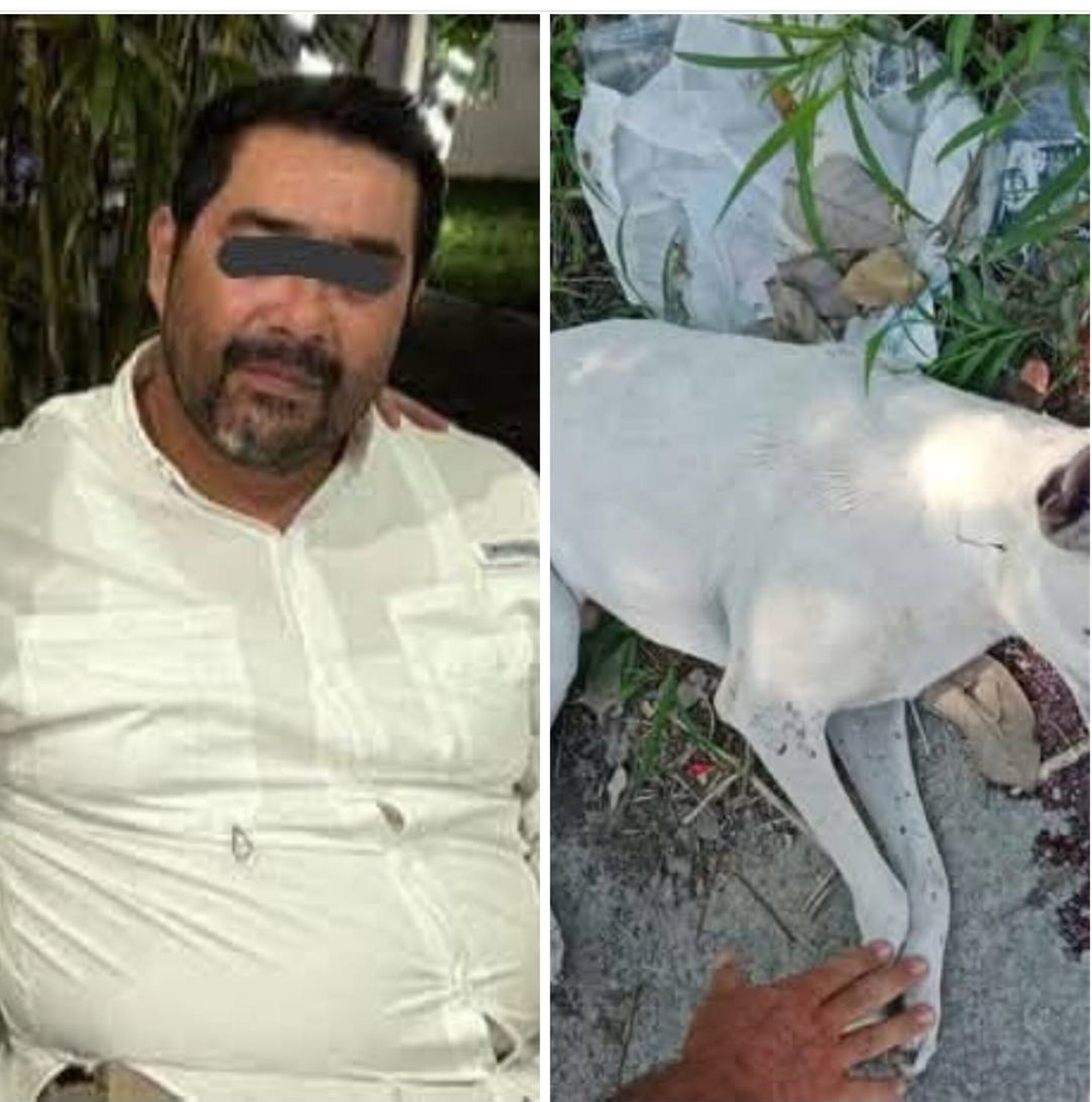 Maestro de la secundaria “Armando Escobar Nava” lo mató a golpes en el patio de su casa
