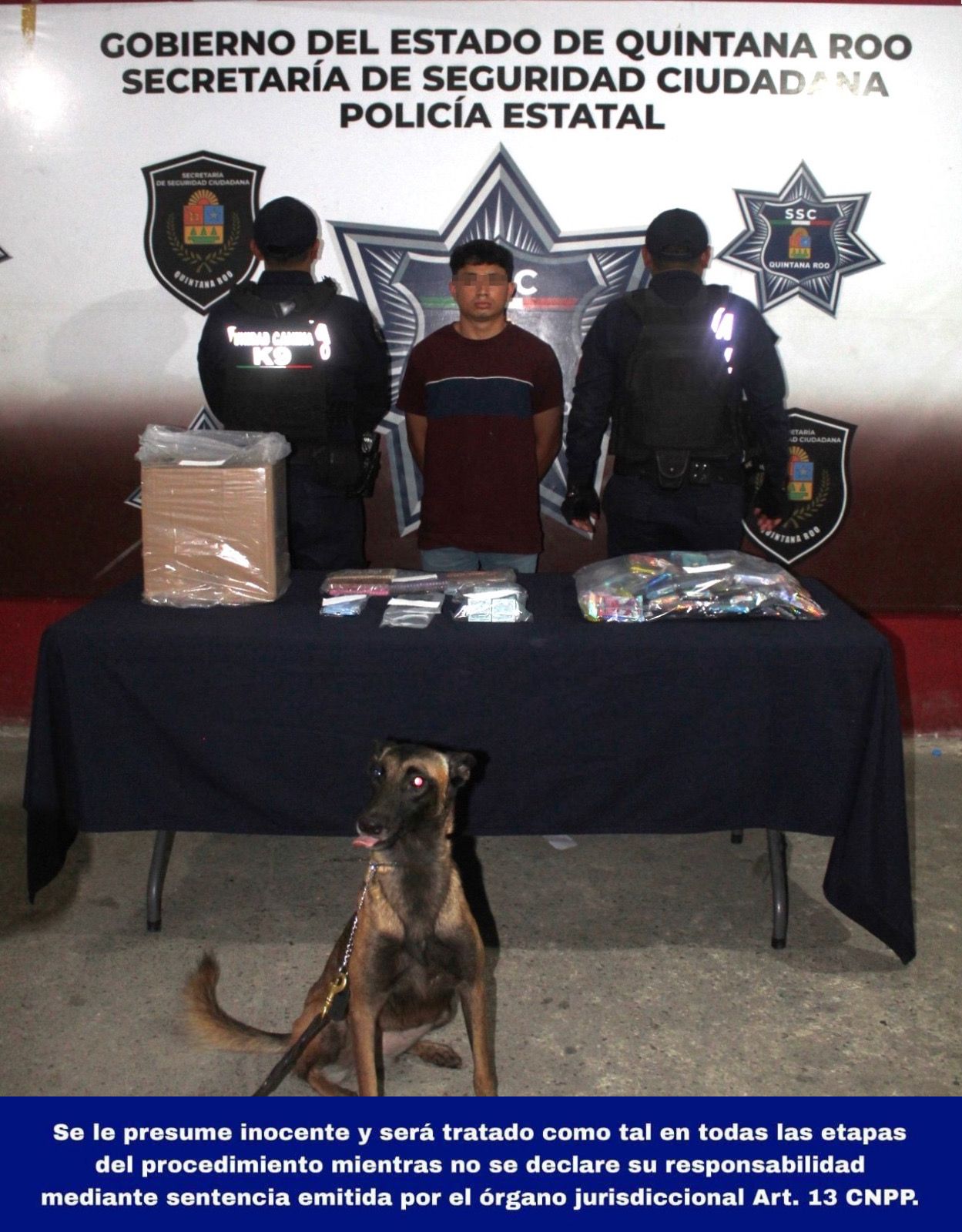 El policía canino “Kira” al realizar recorridos de vigilancia en la Terminal de Autobuses ADO de Cancún, detectó droga en una caja, que formaba parte del equipaje de un hombre