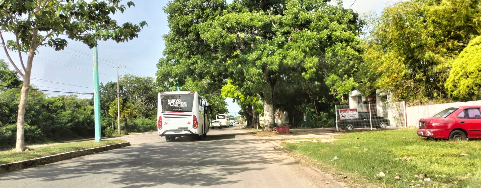 Usuarios ya prefieren el nuevo transporte público urbano en Chetumal