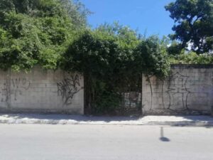Mosquitos invaden colonia Ejido en Playa del Carmen por predios abandonados