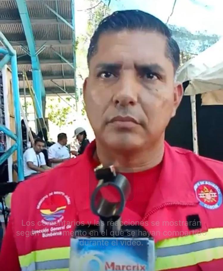 Ante un avistamiento con boas o cocodrilos en la Cancún, alejarse y llamar a las autoridades, pero de ninguna manera agredirlos