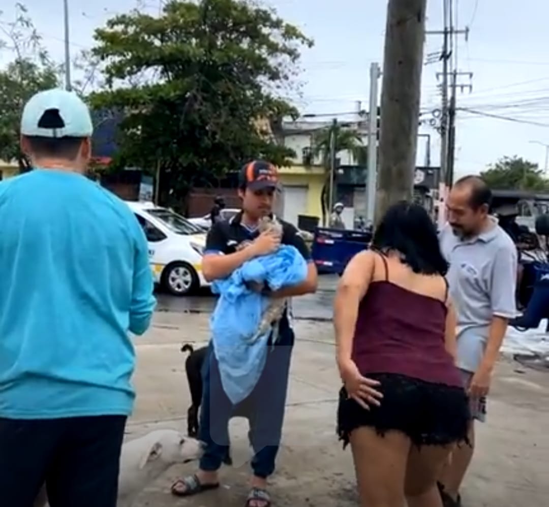 La perrita fue rescatada en el ducto de agua del drenaje ubicado en la avenida Erick Paolo Martínez esquina Av. 4 de Marzo.
