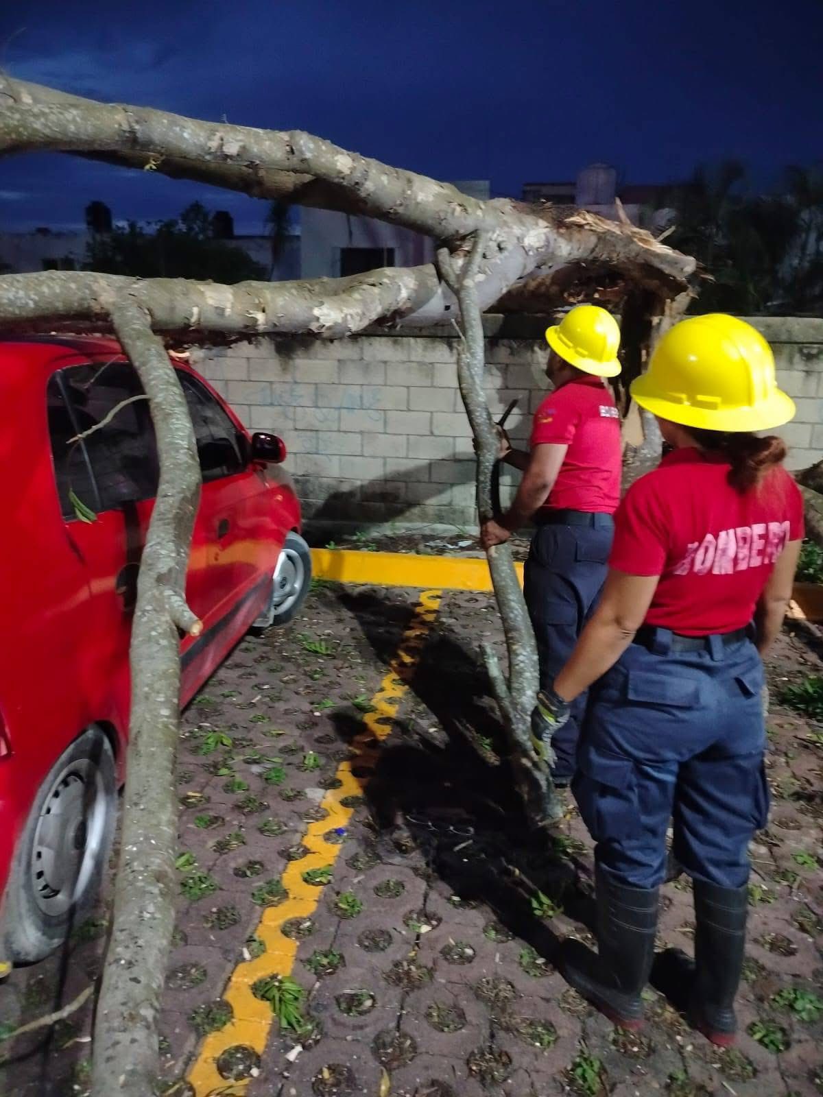 Tras árbol caído, no se reportan heridos, solo daños materiales