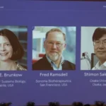 Nobel de Medicina premia estudio sobre tolerancia inmune