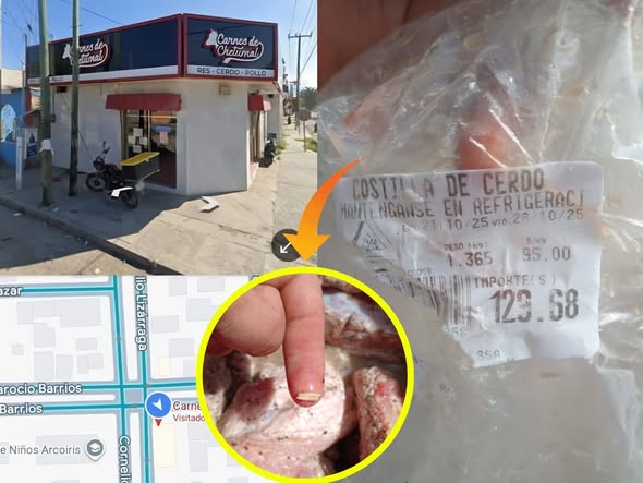 Fotografía cortesía del Tábano, donde se exhiben los gusanos en la carne de puerco