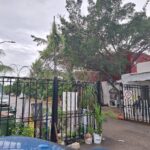 Mujer mata a su esposo por llegar borracho en Playa del Carmen 