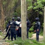 Dictan prisión preventiva a 10 invasores por tala ilegal en Playa del Carmen