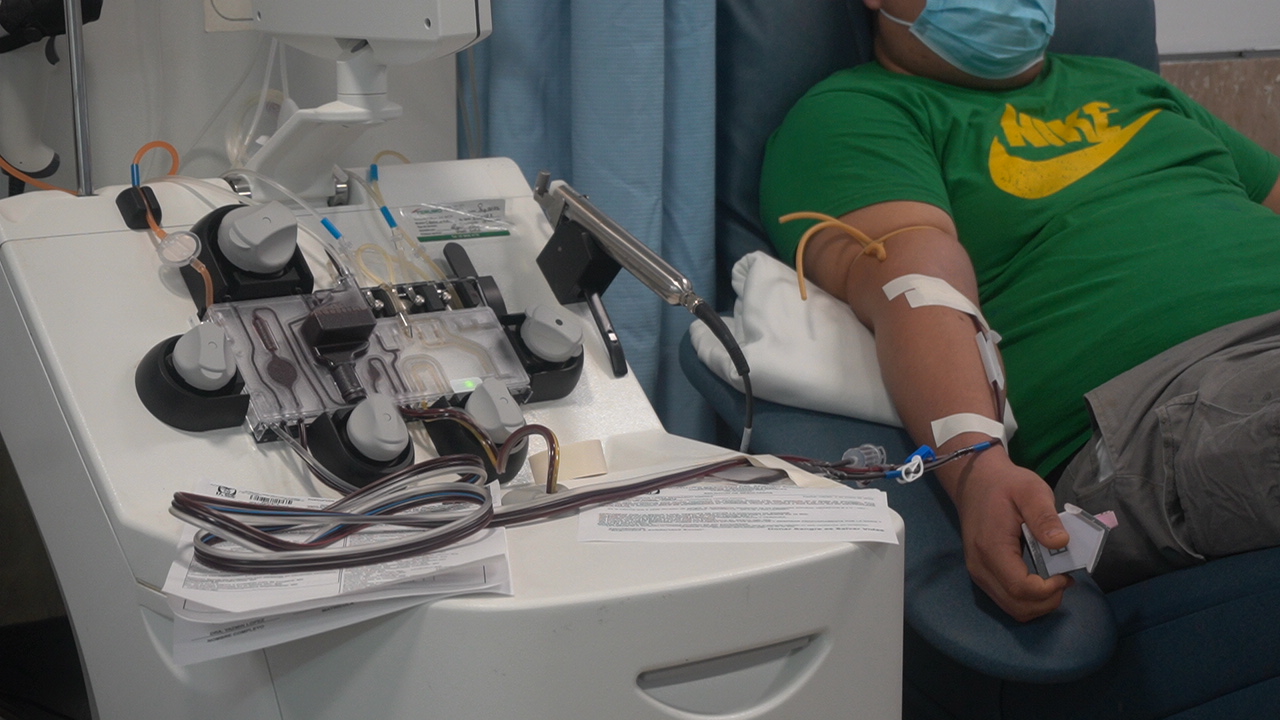 IMSS Quintana Roo llama a donar sangre para apoyar a niñas y niños con cáncer