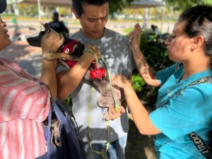 Más de 100 vacunas aplicadas a mascotas durante el ‘Adopta Fest’ en Cancún