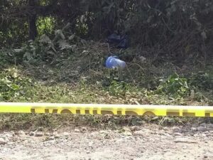 Encuentran feto humano devorado por perros al Sur de Quintana Roo