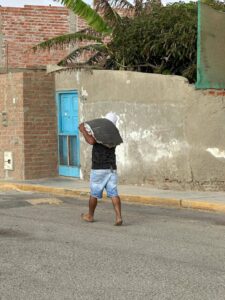 rara especie de tiburón en Perú