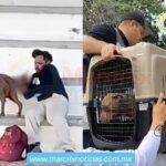 Descubren a hombre abusando de un perrito en la Región 237 de Cancún
