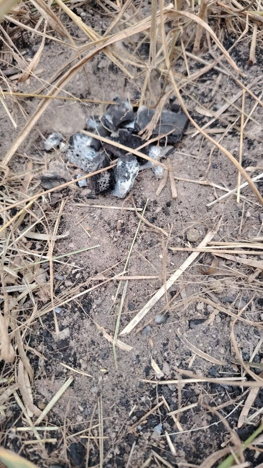 También hallaron más evidencias como huesos enterrados en distintos puntos del terreno, prendas de vestir dispersas en el área