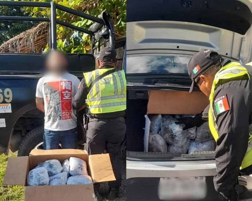 Hallaron 29 paquetes de marihuana que intentaban entrar a Yucatán a bordo de la cajuela de un automóvil sedan procedente de Quintana Roo.
