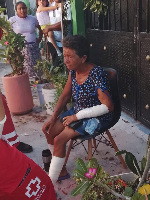 Jauría ataca a abuelita