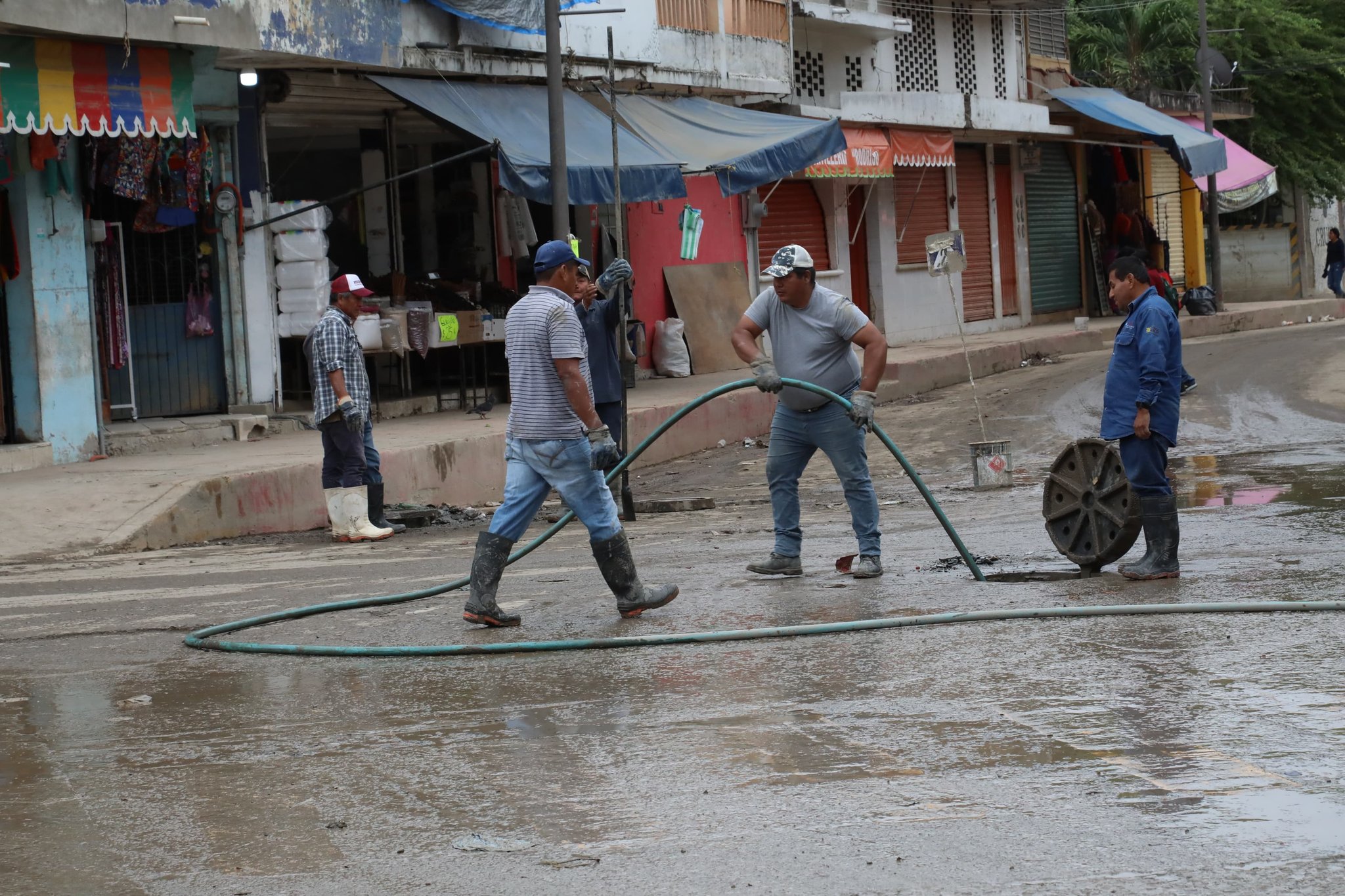 brigadistas quintanarroenses