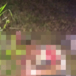 Localizan vivo a torturado Vía Villahermosa – Jalapa