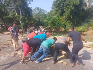 Pobladores moviendo de la via árbol caido