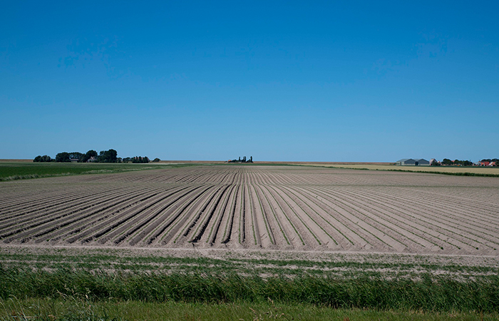 Una investigación revela que la familia Fox controla más de 2 millones de m³ de agua al año en Guanajuato, en medio de la escasez en el Bajío.
