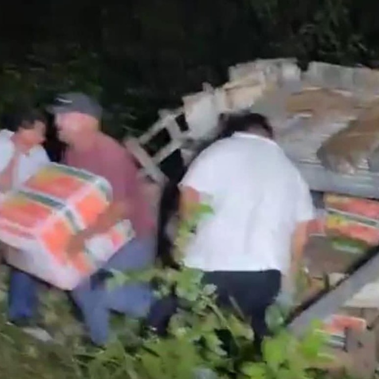 La rapiña se hizo presente en Bacalar tras volcarse camión que transportaba plátanos.