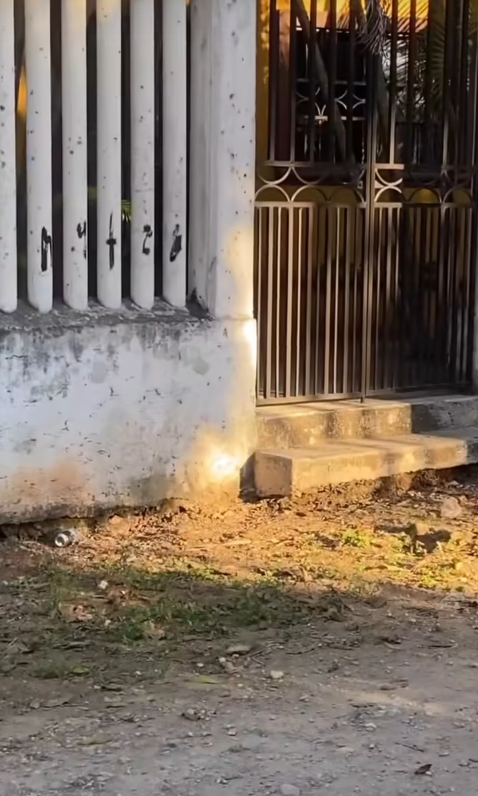 Vecinos de Leona Vicario denuncian una posible situación de maltrato a un menor y señalan omisión de autoridades locales. Piden intervención inmediata para proteger al niño.